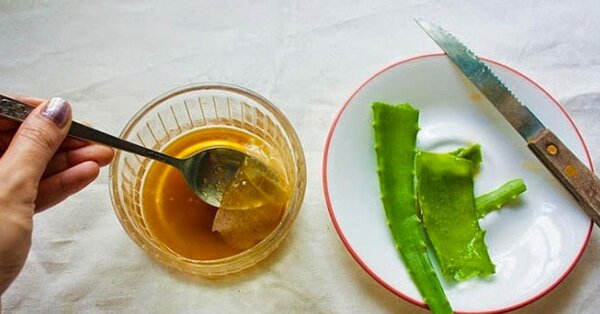 Алоэ вместо дорогих процедур: топ-3 маски для кожи лица Алоэ вместо дорогих процедур: топ-3 маски для кожи лица красота,маски,мода и красота,уход за собой