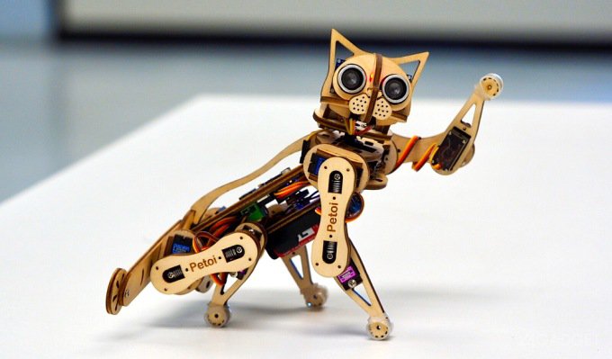 Робокот Nybble умеет танцевать, бегать и подавать лапку роботы, nybble