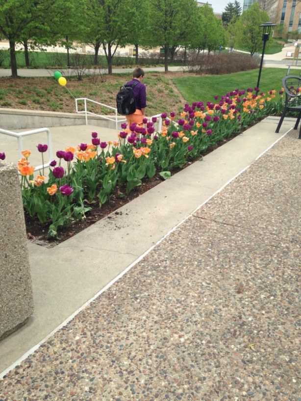 люди одеты как окружение