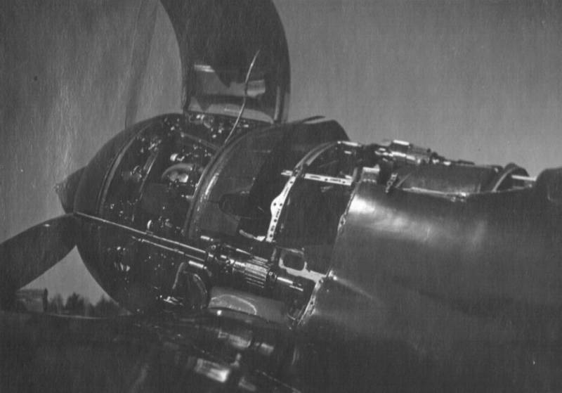 Боевые самолеты. Король истребителей, которого сбили свои Боевые самолеты. Король истребителей, которого сбили свои ввс