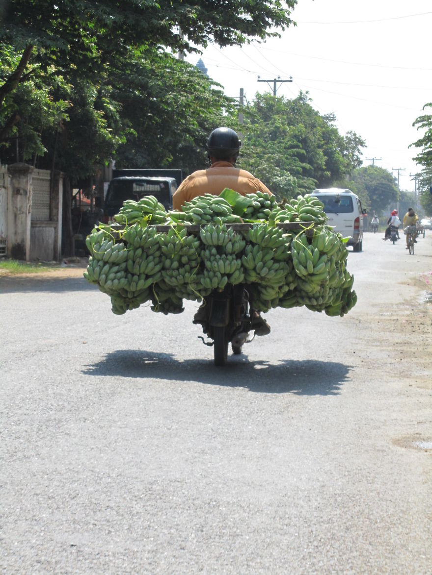 17. Камбоджа перевозка грузов, прикол, транспорт, юмор