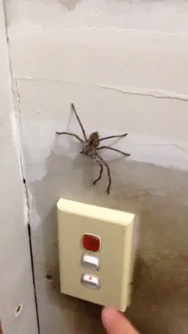 Эта прикольная анимация развлечёт вас на целый день! Эта прикольная анимация развлечёт вас на целый день! позитив