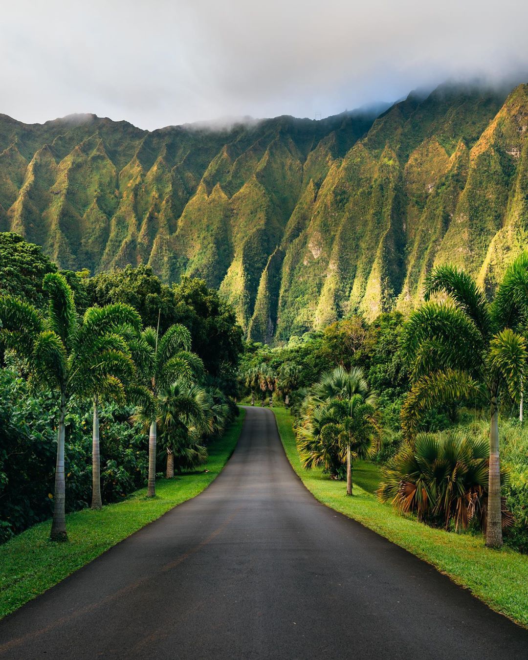 Гавайи: уголок земли, в который нельзя не влюбиться Винсент, природу, Читать, Instagram, подписчиков, более, наблюдают, Винсента, приключениями, аэрофотоснимки, уличные, путешествия, снимает, Vincent, Гавайи, Гонолулу, проживающий, время, настоящее, дрона