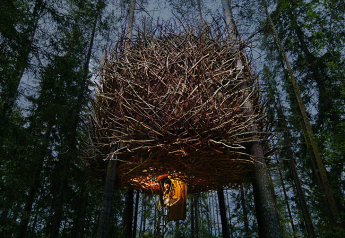 Фантастический отельный номер на дереве в виде огромного птичьего гнезда.