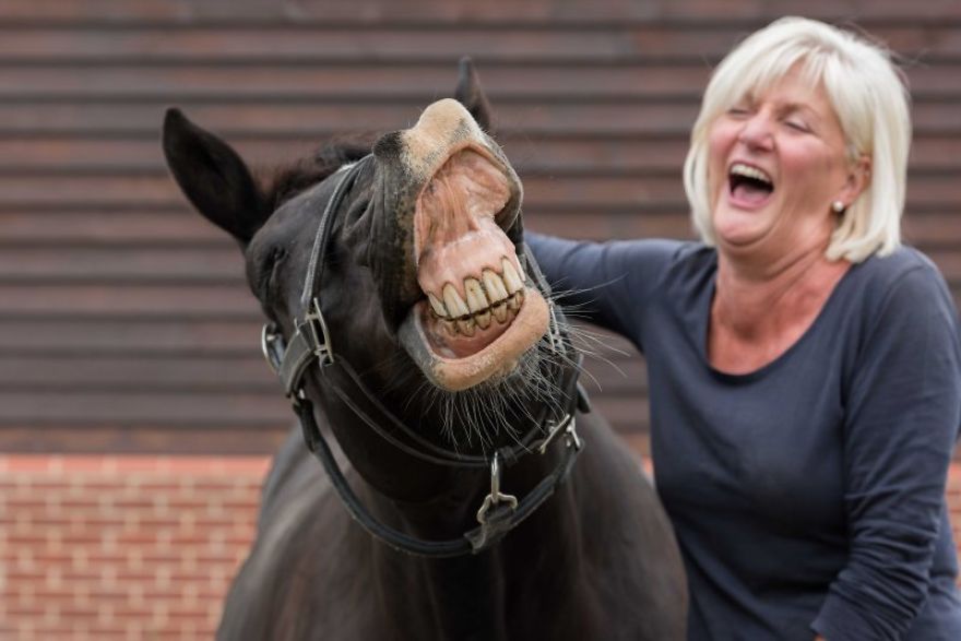женщина и лошадь смеются