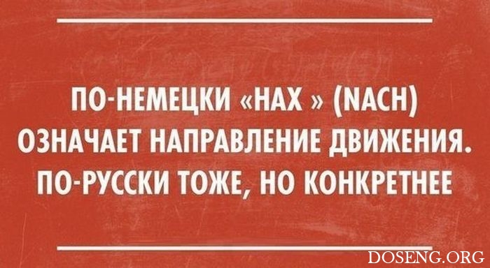 Подборка шуток и приколов