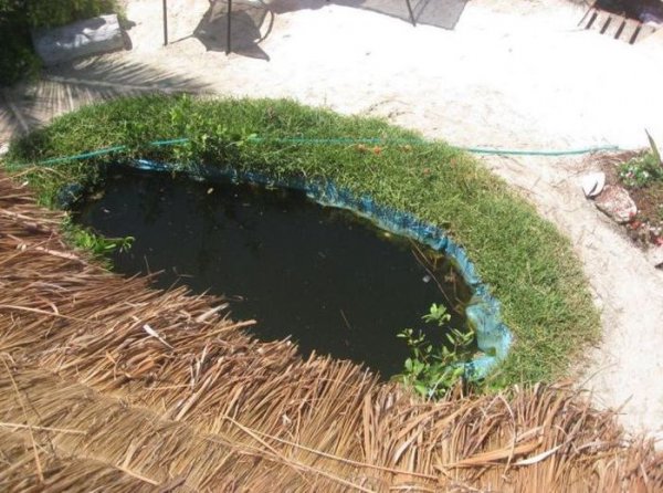 Искусственный остров из пластиковых бутылок Искусственный остров из пластиковых бутылок сделай сам