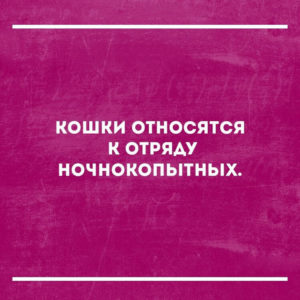 Уморительные анекдоты, которые вы еще, возможно, не читали 