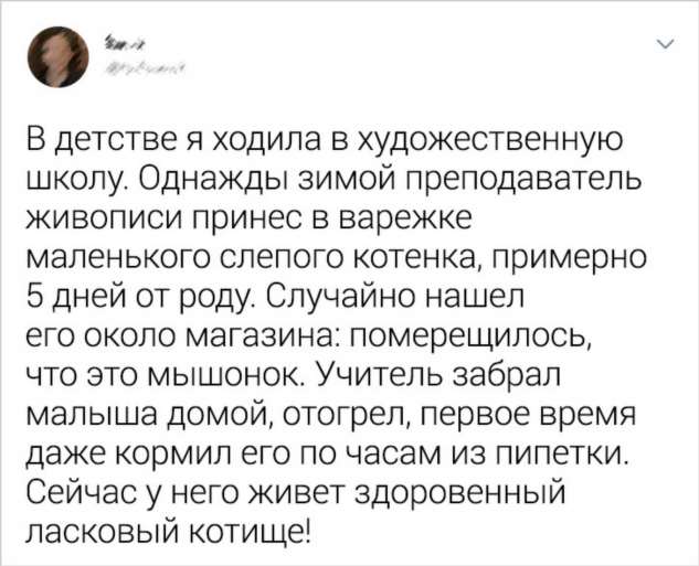 15+ светлых историй, которые лечат душу лучше любого антидепрессанта