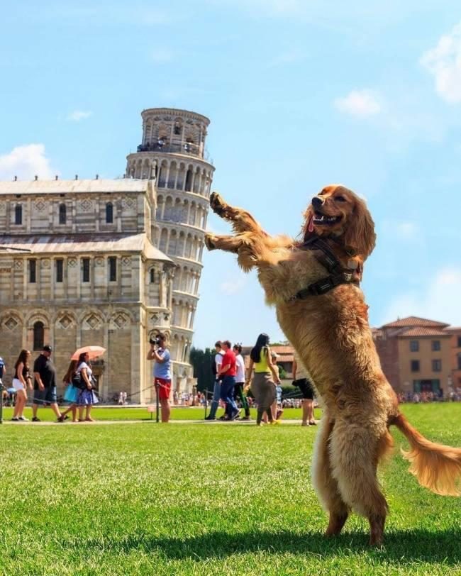 30 кадров без фотошопа, которые стали максимально интересными для зрителя приколы