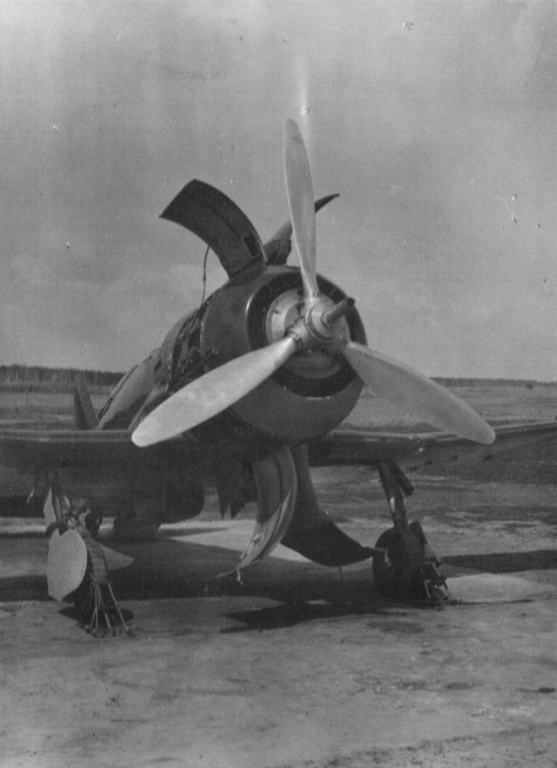 Боевые самолеты. Король истребителей, которого сбили свои Боевые самолеты. Король истребителей, которого сбили свои ввс