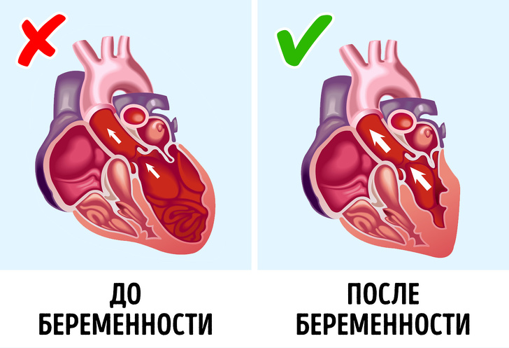 16 странных фактов, которыми сразу хочется поделиться со всеми вокруг 