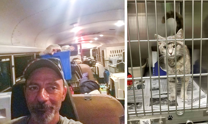 Иногда кажется, что у нас внутри панцирь — ничем не пронять... воспитание,Дети,Жизнь,Истории,проблемы