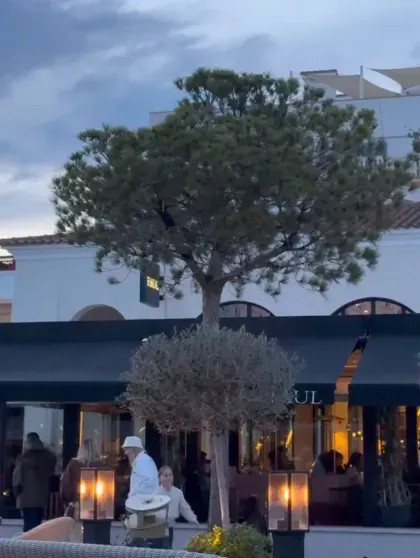 С трудом передвигающуюся Аллу Пугачёву без мужа и детей заметили на Кипре Пугачёва, Элины, Галкин, сердцем, певица, улице, Гарри, Галкина, Максим, инстаграма, назад, Израиле, операции, Пугачёву, Максима, слухам, после, которая, приступа, сердечного