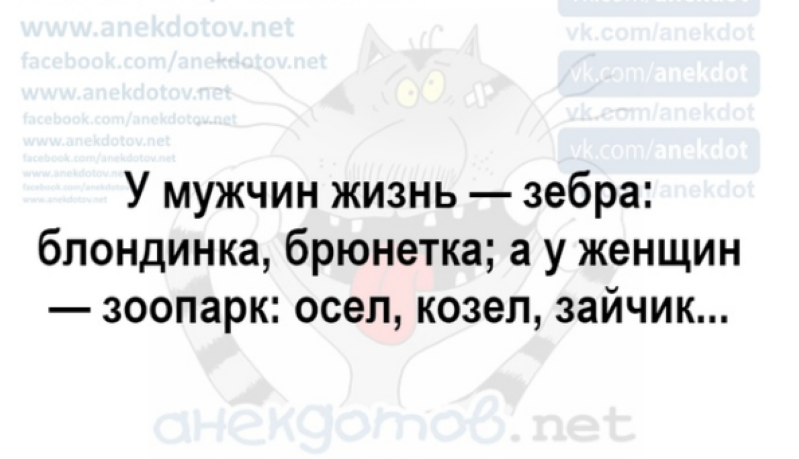 Убойный юмор о делах наших семейных для хорошегнастроения на весь день. Поднимите себе настроение! Жизнь,Истории,Отношения,юмор