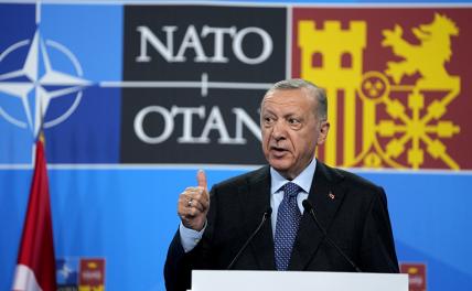 Турция — НАТО: надоела нам ваша агрессивная лавочка! геополитика