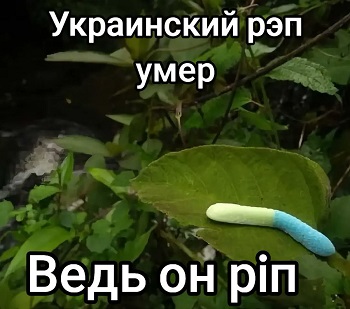 Значит, беру я кредит в банке 1 миллиард $, покупаю этот банк, разрешаю себе не отдавать кредит, и всё - я олигарх! ну, гениально же! времени, почему, когда, черная, России, своей, самые, дерьмовое, только, деньги, всего, интеллект, можно, курьера, обеими, будут, говно, предел, обоями, Кормит