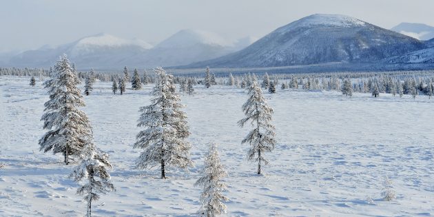 Ещё 15 завораживающих мест России, которые обязательно нужно увидеть вживую можно, стоит, время, заповедника, самых, озёра, чтобы, самое, России, Можно, дацан, Иволгинский, одним, посёлке, Кучерлинские, выветривания, природы, Кезенойам, состав, Путорана