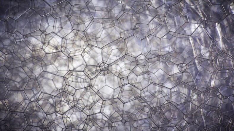 10 фантастических фото привычных вещей в макрообъективе 10 фантастических фото привычных вещей в макрообъективе супер