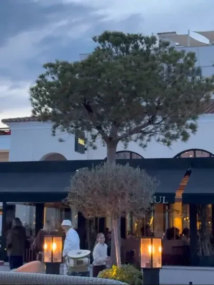 С трудом передвигающуюся Аллу Пугачёву без мужа и детей заметили на Кипре Пугачёва, Элины, Галкин, сердцем, певица, улице, Гарри, Галкина, Максим, инстаграма, назад, Израиле, операции, Пугачёву, Максима, слухам, после, которая, приступа, сердечного