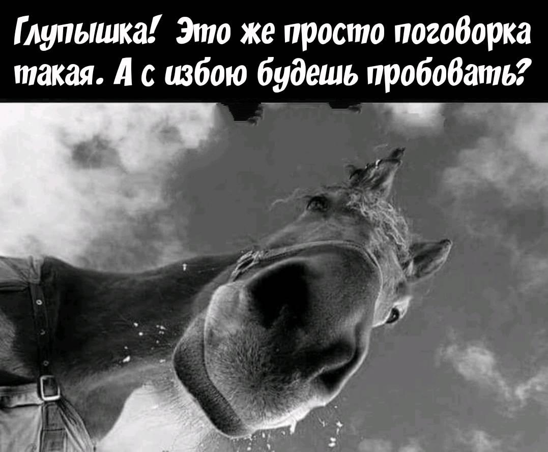 Клиент спрашивает официанта. — А это правда, что вы за нами доедаете?... Весёлые,прикольные и забавные фотки и картинки,А так же анекдоты и приятное общение