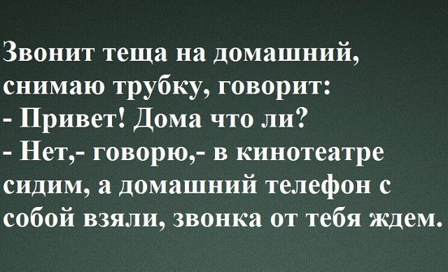 Маленькая черепашка лезет на дерево. Цепляется, упирается, все-таки залезает… юмор,приколы,Юмор,картинки приколы,приколы,приколы 2019,приколы про