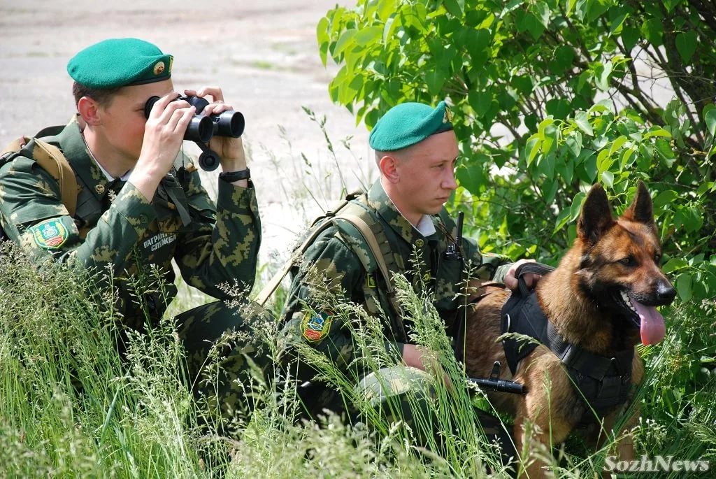 Пограничник сколько лет