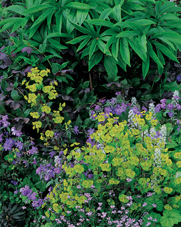 wild-garden-inspiration-flowers11.jpg wild-garden-inspiration-flowers11.jpg