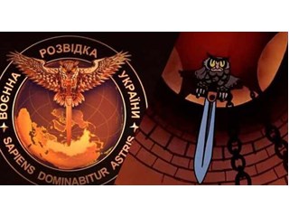 Точили меч на Россию, попали в Украину