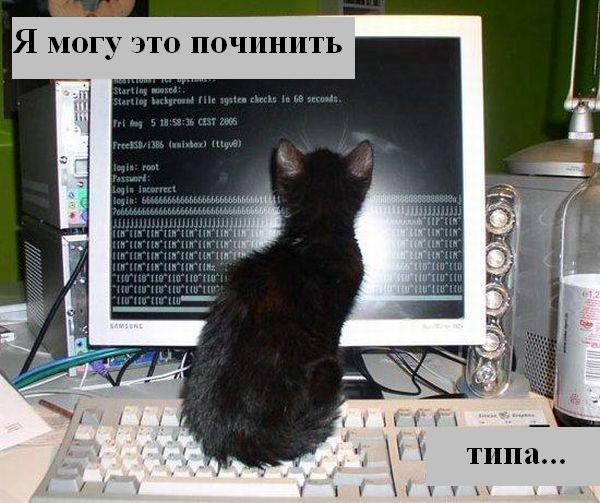 Мысли :) (50мыслей)