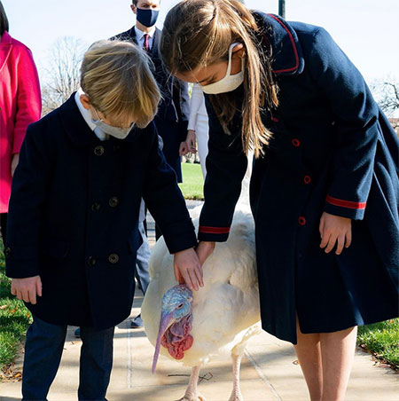 Дональд с Меланией Трамп и индейка Кукуруза приняли участие в традиционной церемонии в Белом доме Дональд с Меланией Трамп и индейка Кукуруза приняли участие в традиционной церемонии в Белом доме Звезды,Новости о звездах