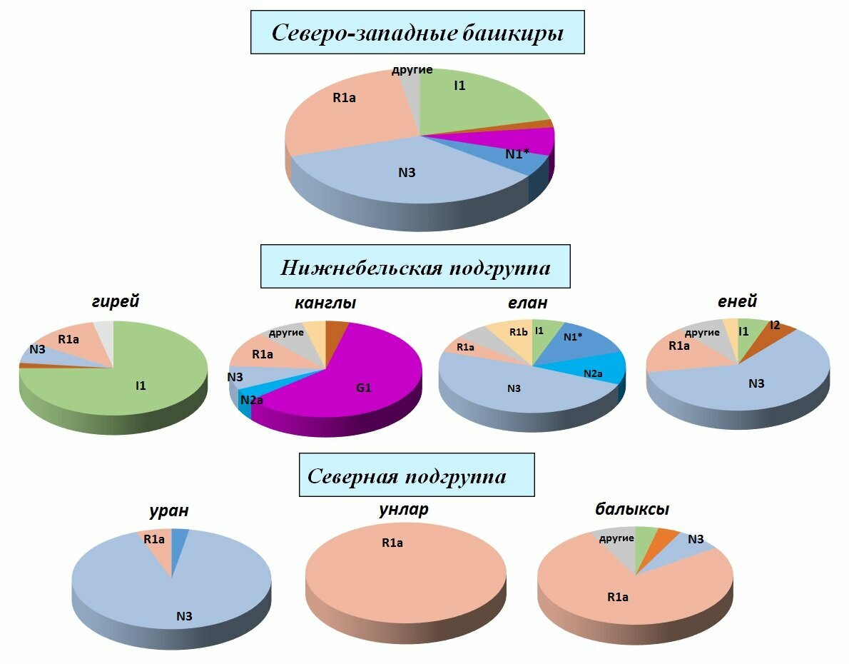 Генотипы по Y-гаплогруппам северо-западных родов башкир (картинка взята из ОИ)