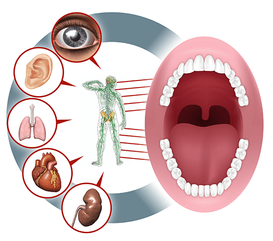Зубы связаны с внутренними органами: как обнаружить проблемы аллергия,анемия,артрит,зубная боль,зубы,кишечник