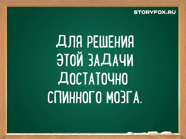 Фразы учителей. Прикольные фразы учителей. Смешные фразы учителей. Цитаты учителей смешные. Смешные цитаты от учителя.