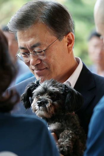 Вновь избранный президент Южной Кореи приютил собаку