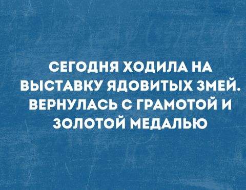 Звонит мама, мол, сейчас к тебе в офис заеду. Забегал по кабинету... юмор