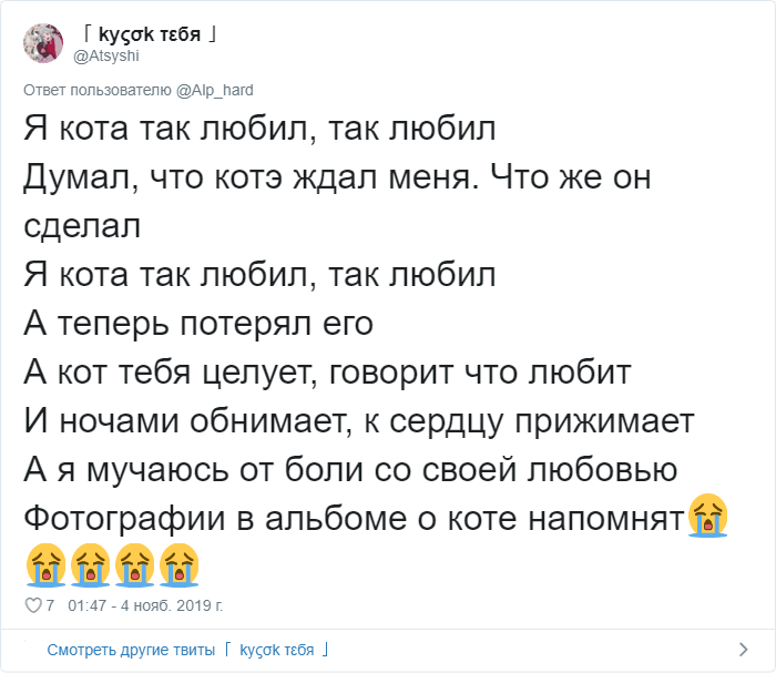 Я котик ты котик текст