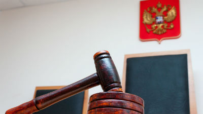 Гособвинение попросило для летчицы Савченко 23 года тюрьмы