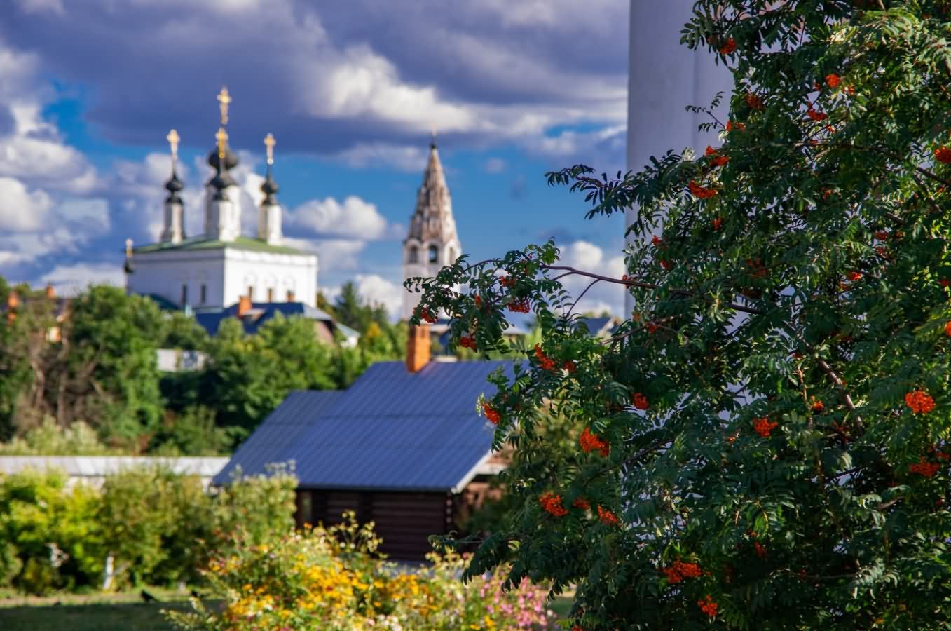 Снимок экрана 2024-08-06 170438