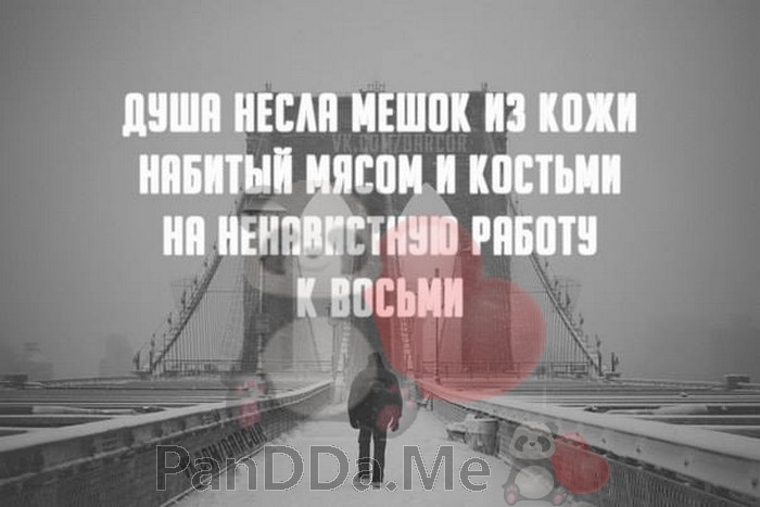 Надеемся, что эти истории придутся Вам по вкусу и улучшат настроение на весь день Надеемся, что эти истории придутся Вам по вкусу и улучшат настроение на весь день