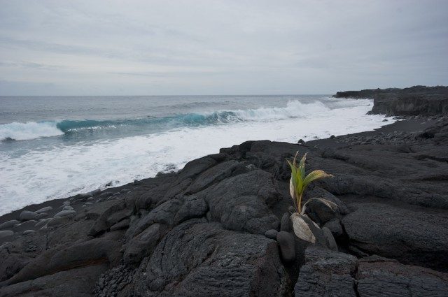 Чёрные пляжи планеты Гавайи, очень, сможете, пляжа, Кхена, Большой, Калифорния, несколько, Песок, примеси, грубым, слишком, показаться, может, парке, Вайнапанапа, расположен, Honokalani, ожидания, превзойдет