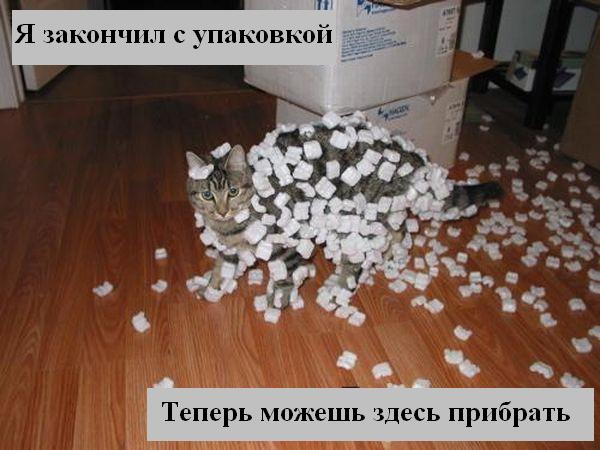 Мысли :) (50мыслей)