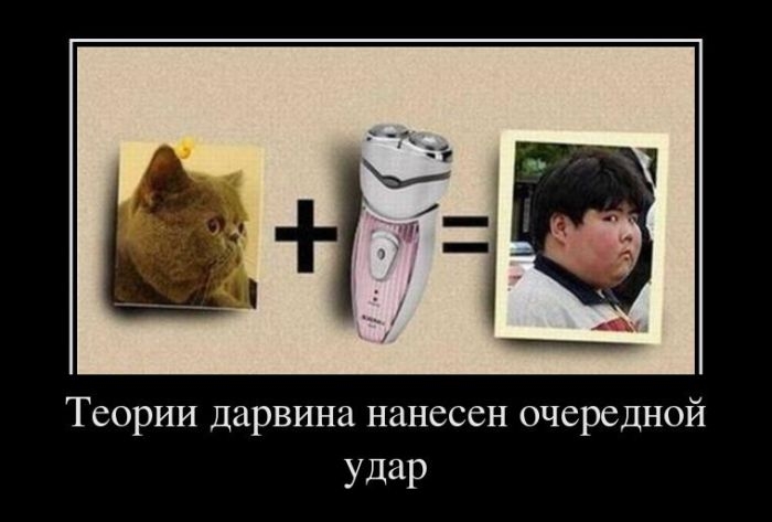 Зачетные, смешные и веселые демотиваторы на вечер позитивные демотиваторы