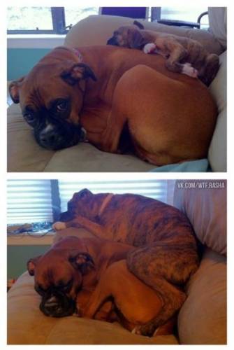 Смешная коллекция юмора и анекдотов 