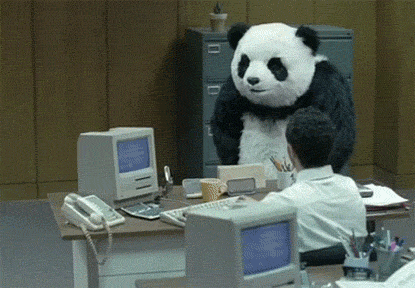 панда в seo компании