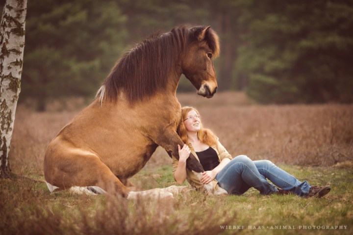 красивые фотографии лошадей