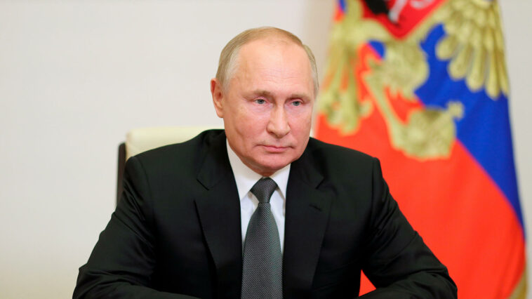 Песков: Путин проведет встречу с членами правительства и выступит на саммите АТЭС