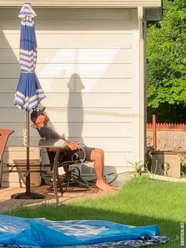 Фотография: 30 фото забавных теней, которые похожи на что-то другое №23 - BigPicture.ru