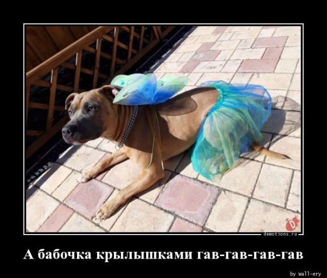 Демотиваторы дня: «Хорошо выспалась…»  