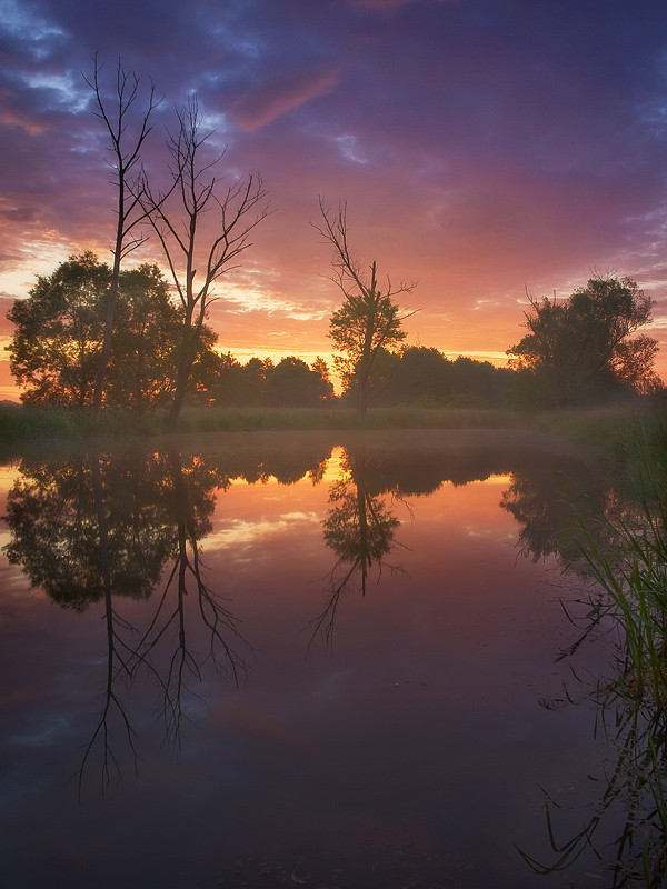 Фотография Morning Reflection автор Jan Bainar на 500px